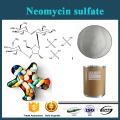 Pharmaceutical raw material Antibiotics Neomycin Sulphate powder, CAS No.:1405-10-3